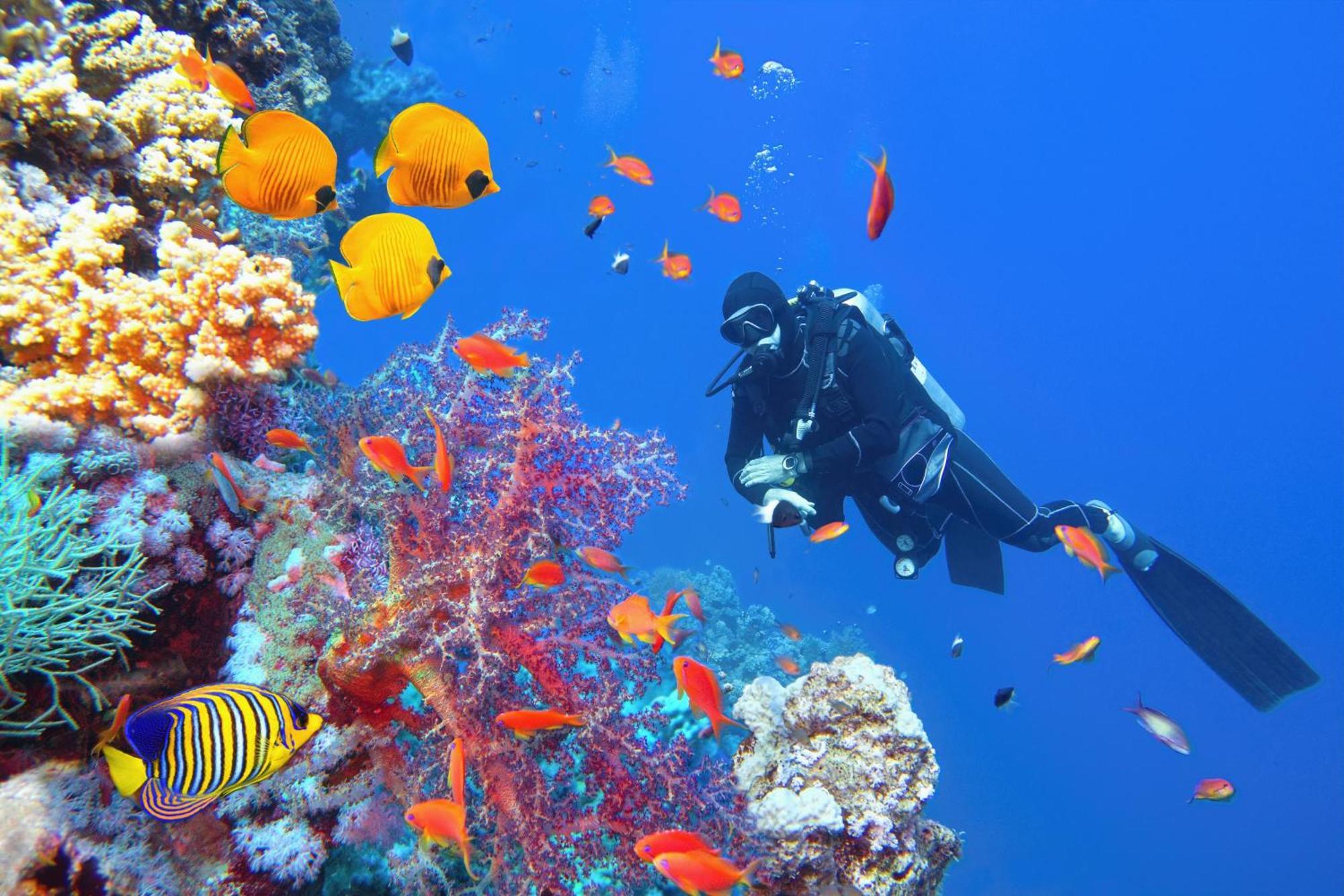 Wai Resort - Raja Ampat Pulau Birie ภายนอก รูปภาพ