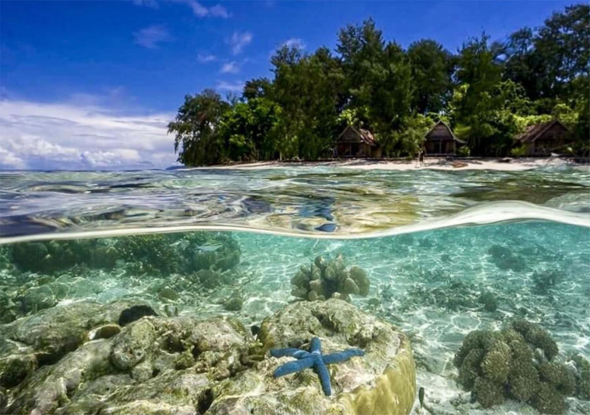 Wai Resort - Raja Ampat Pulau Birie ภายนอก รูปภาพ